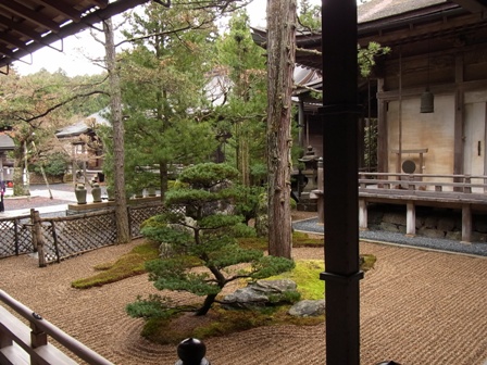 RIMG0184.JPG