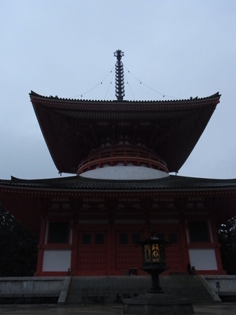 RIMG0247.JPG